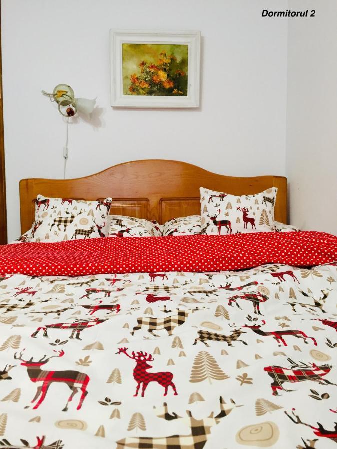 Apartament Veverite Slănic-Moldova Exteriér fotografie